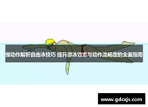 慢动作解析自由泳技巧 提升游泳效率与动作流畅度的全面指南