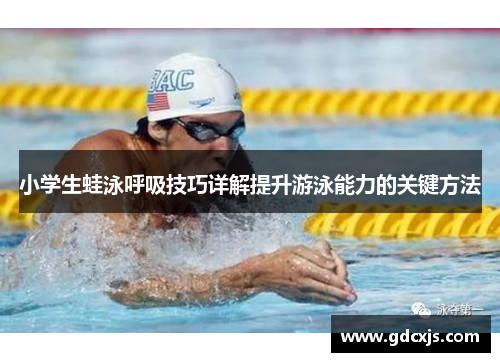 小学生蛙泳呼吸技巧详解提升游泳能力的关键方法