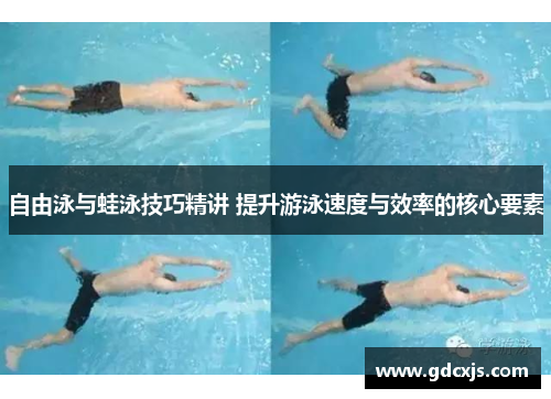 自由泳与蛙泳技巧精讲 提升游泳速度与效率的核心要素