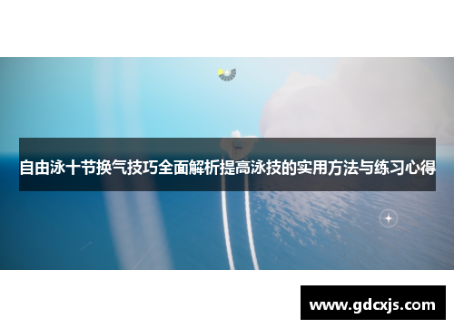 自由泳十节换气技巧全面解析提高泳技的实用方法与练习心得