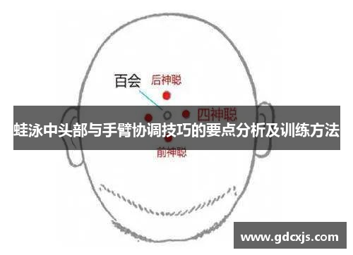 蛙泳中头部与手臂协调技巧的要点分析及训练方法