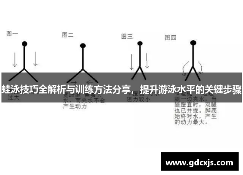 蛙泳技巧全解析与训练方法分享，提升游泳水平的关键步骤