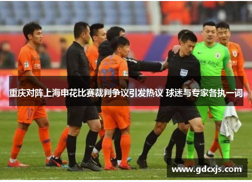 重庆对阵上海申花比赛裁判争议引发热议 球迷与专家各执一词